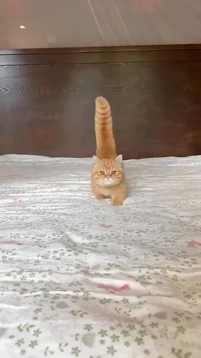 ������� ���� , ������� ������������!