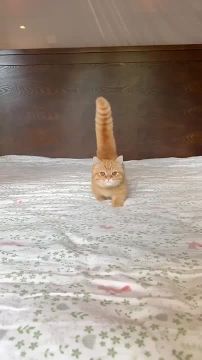 Доброго утра , дорогие Мелитопольцы!