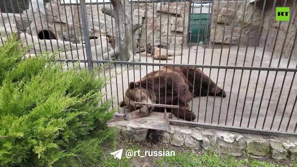 �������� �������� � ���������� ��������� ��������� ��������� �������� RT ������� ���������, ��� ������� ������ ��������� ������ �������� � ��������� ��������