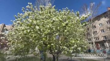 ������ �� ����� �����, ����� ���������� ������� � ����� ������� �������� �����