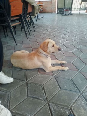 �������� ����� ������. ������ �� �� ������ ���� - ������ � ����������