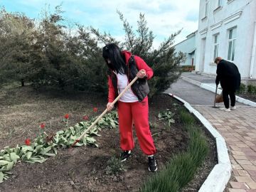 � �������������� ������������� ������ ������ ������������� �����, ������������ � �������������� ����������