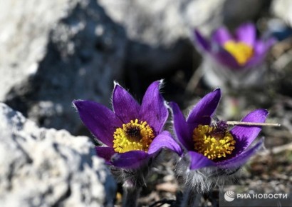 ������ �� ����� ����������� ������