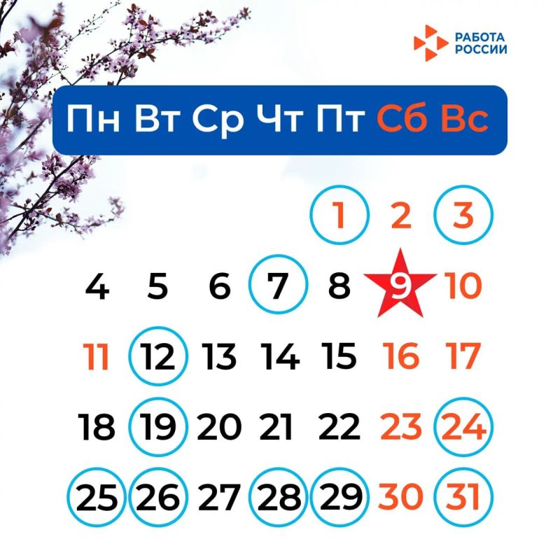 Майские праздники и профессиональные дни: сохраняйте шпаргалку с важными датами!