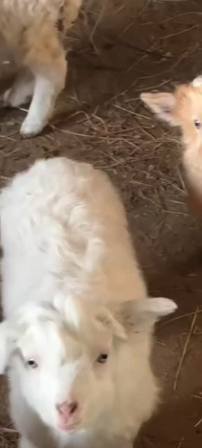 ������ ����. ����� ��� ���� ����� �������� ������, ������������ � ������� ������