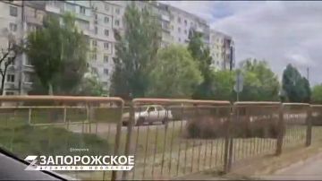 ��������: ������-�������� � �� ��������������