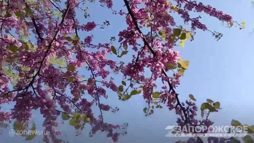 � ���������� �������� ��� �������� ���������� ������������ � ���� ������ ������ ������, ��� ������ ��������� ��������� ��������� ������ ���������-������� �������
