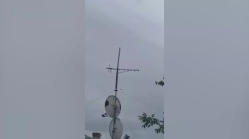 ������� ��������� �������� ������������� ����� ������ �� ����������