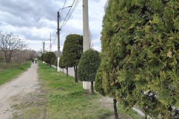 Солнечно и сухо: какая погода будет в Запорожской области 17 июня 2026 года