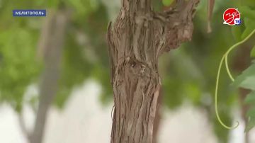 � ���������� ���������� ������������ �������������������� ������