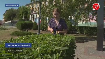 Стихийную свалку в районе Новый Мелитополь ликвидировали сотрудники предприятия «Благоустройство»