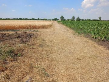 Благоустройство в Новобогдановке продолжается