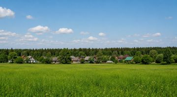 Участникам СВО начнут выдавать земельные участки в Запорожской области