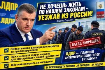 ЛДПР выступает за дальнейшее ужесточение миграционной политики