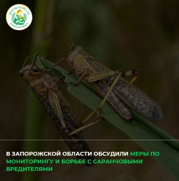 � ������������ ��� � ����������������� �������� ���������� ������� ��������� � �������� ������������ ������� ���� ���������������� �� ����������� �������, ����������� ������� �������� � ���������������� ��������� ����������...