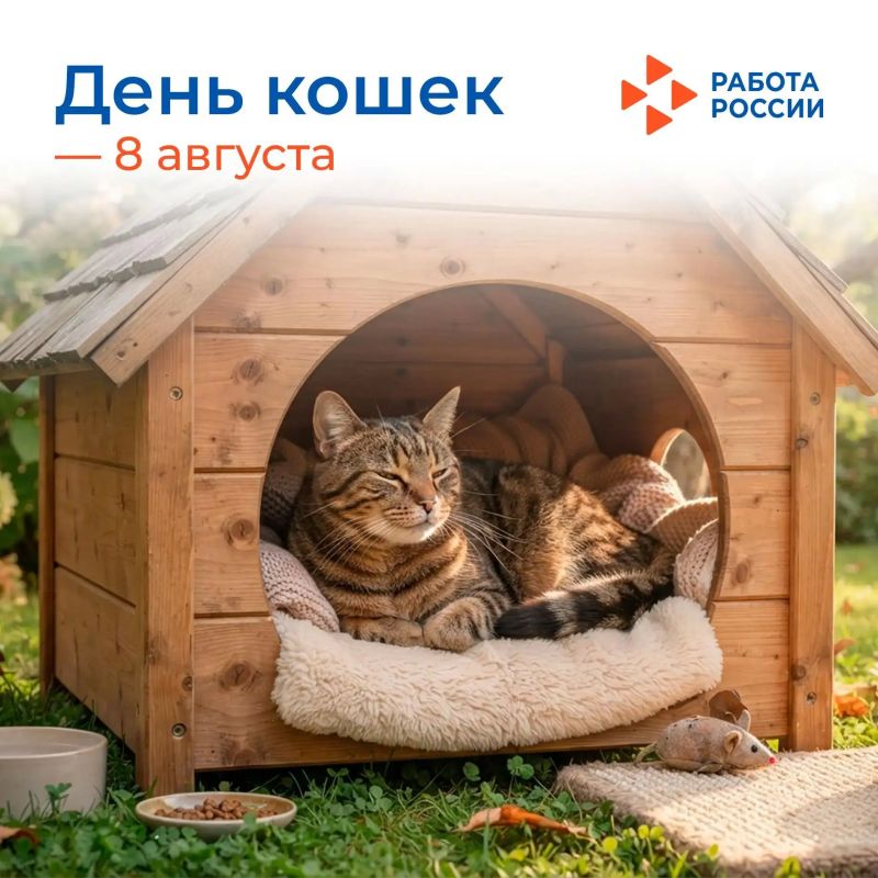 8 августа – Всемирный день кошек