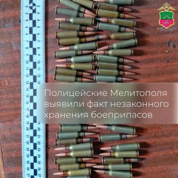 В гараже у мелитопольца обнаружили боеприпасы