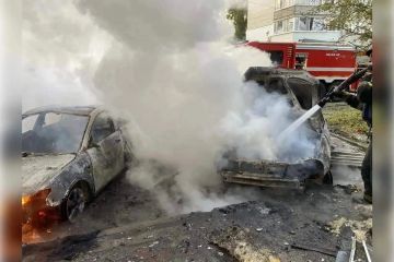 ��� ���������� ������� ����������� ������� � ���������������� ������ ���