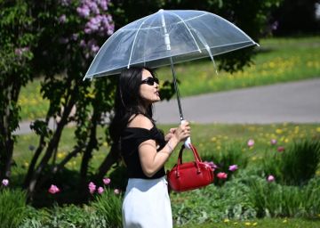 В Запорожской области спадет жара