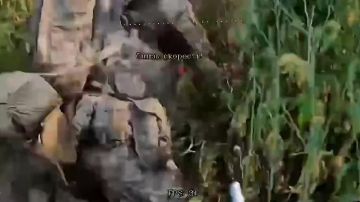 ��������� ����������� ����� ������� ���������� ��������� ������ ��� � ����������� �������