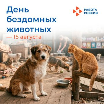 15 августа – Международный день бездомных животных