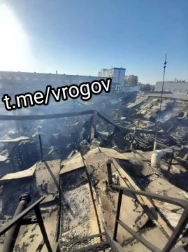Владимир Рогов: Нацисты уничтожили больницу и магазин в Мелитополе
