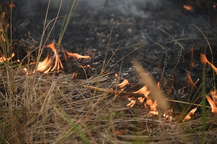 В Запорожской области объявили штормовое предупреждение из-за пожароопасности