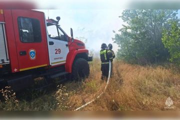 40 пожаров пришлось тушить в Запорожской области за сутки