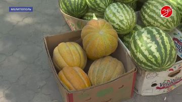 Торговля фруктами в Мелитополе идет полным ходом