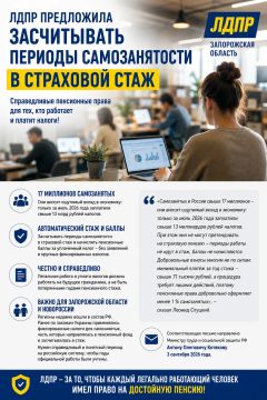 ЛДПР предложила засчитывать периоды самозанятости в страховой стаж