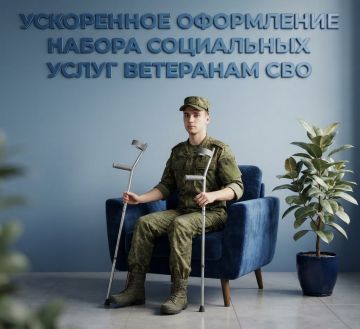 Как ветерану СВО получить набор социальных услуг в ускоренном порядке