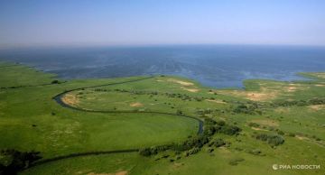 В Азовском море появились новые обитатели: от бычков до акулы-катрана