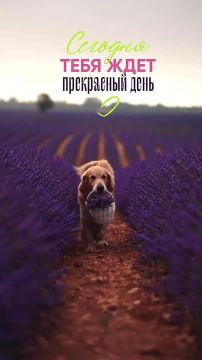 Доброе утро!. Подписывайтесь на НОВЫЙ МЕЛИТОПОЛЬ