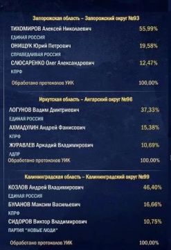 Обработано 100% протоколов участковых избирательных комиссий