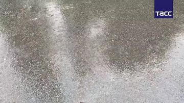 �������� ���������� �� �� ������ �� ������ �������� ���, � �����, 23 ��������
