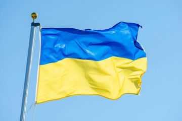 ��������� ������: ���� ��������� ���� � �������� ������ � �������� � �������