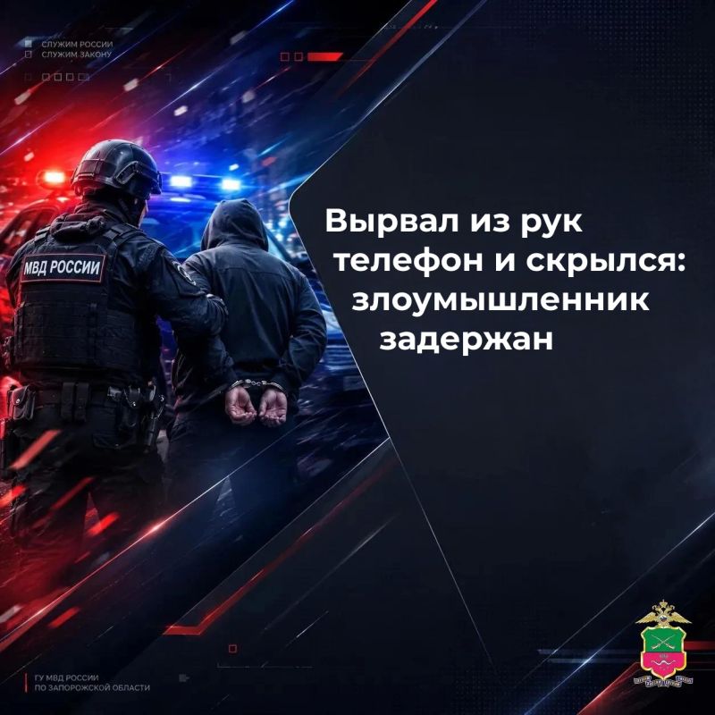 Вырвал из рук телефон и скрылся: злоумышленник задержан