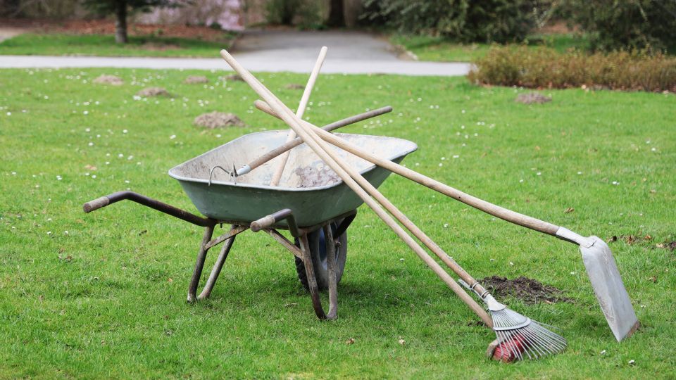 ����� � ������ ������ ����� ��� �����: ��� ��� ����� ������� � ���� ������